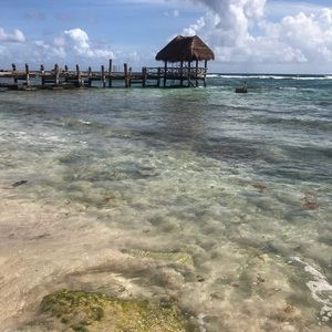 Meet your Posher, Guillermo